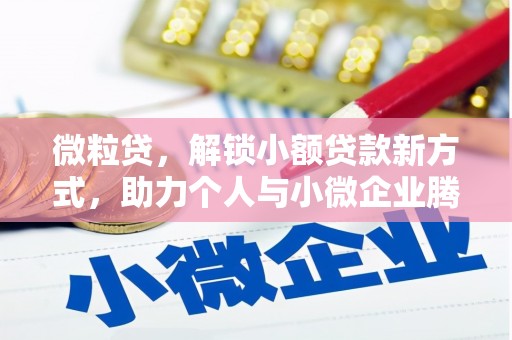 麻涌微粒贷，解锁小额贷款新方式，助力个人与小微企业腾飞