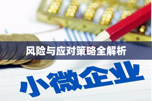 长岛风险与应对策略全解析