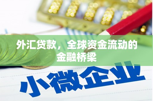 休宁外汇贷款，全球资金流动的金融桥梁