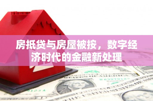 高唐房抵贷与房屋被按，数字经济时代的金融新处理