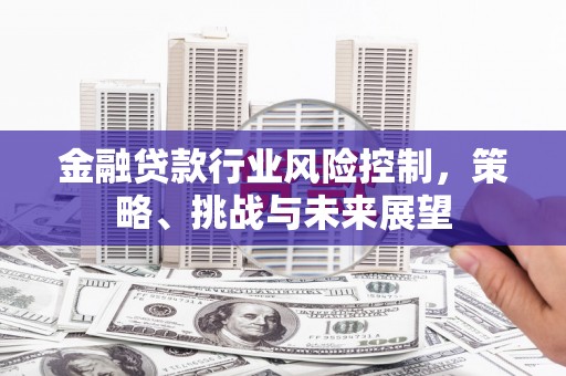 平乐金融贷款行业风险控制，策略、挑战与未来展望